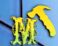 Mangonteh Construction logo